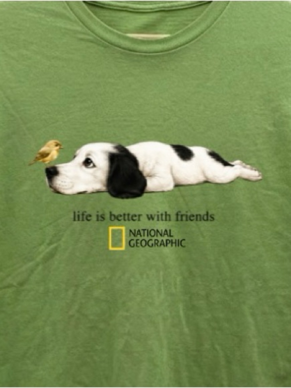 National Geographic Dog and Bird Life Is Better With Friends TShirt - Picture 2 of 4
